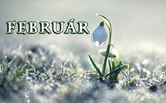 progrmasoroló február