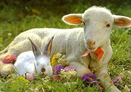 Ünnepi nyitva tartás